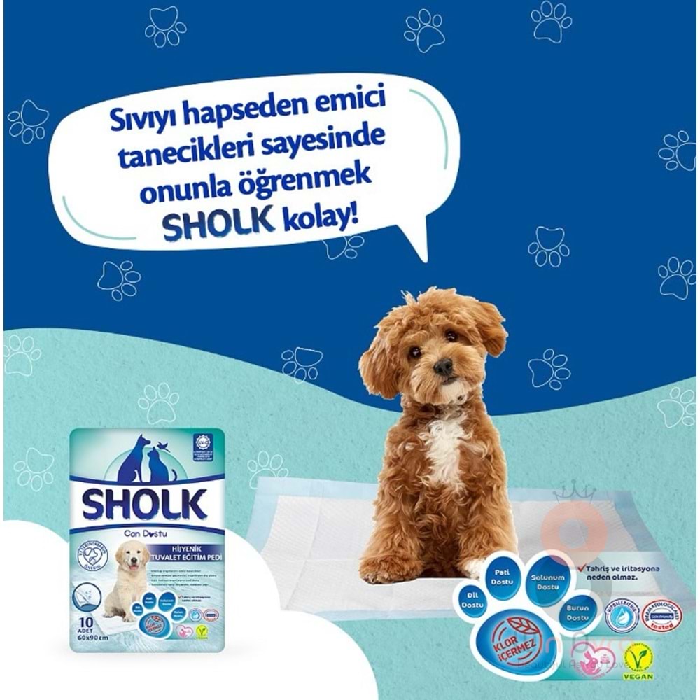 Sholk Hipoalerjenik Köpek Çiş Eğitim Pedi 60x90cm 10lu