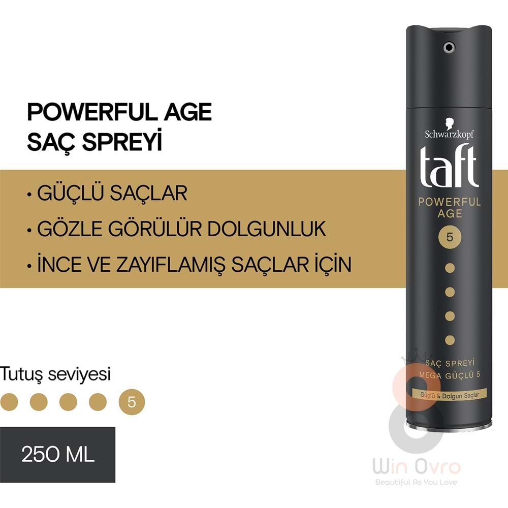 Taft Powerful Age Saç Sprey 250 ml