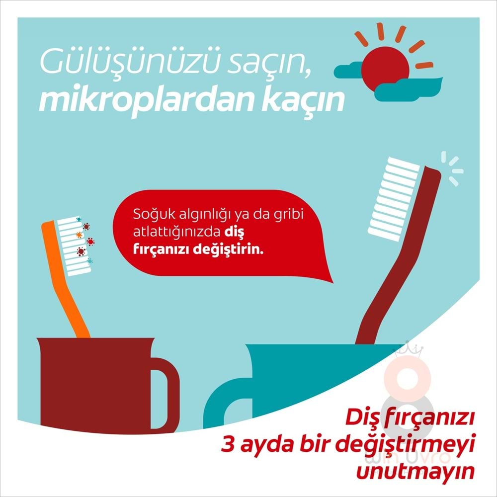 Colgate Minions 6+ Yaş Vakumlu Yapışkan Sap Ekstra Yumuşak Çocuk Diş Fırçası