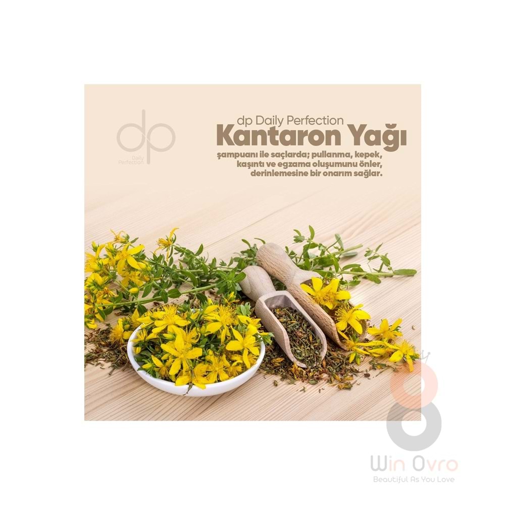 Dp Daily Perfection Kantaron Yağı Tuzsuz Şampuan 500 Ml
