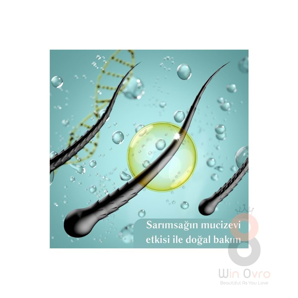 Derma CC Laboratories Sarımsak Özlü Saç Güçlendirici Bakım Şampuanı 500 Ml