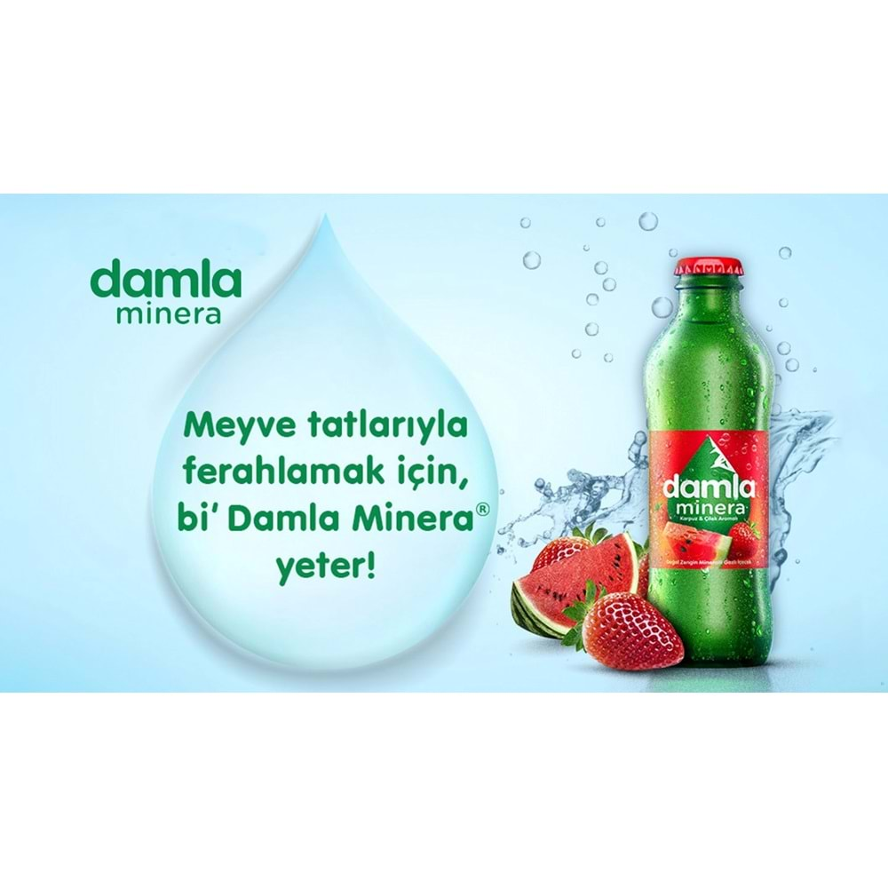 Damla Minera Çilek ve Karpuz Aromalı Doğal Zengin Mineralli Gazlı İçecek Şişe 200 ml.