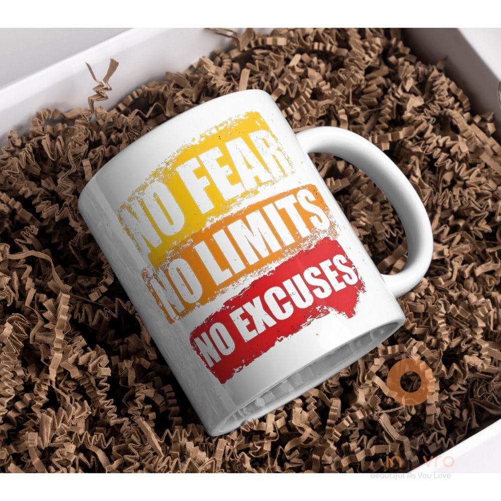 Win Ovro Premium Beyaz Porselen Hediye Kupa Bardak Çift Yön Baskı - No Fear No Limits No Excuses