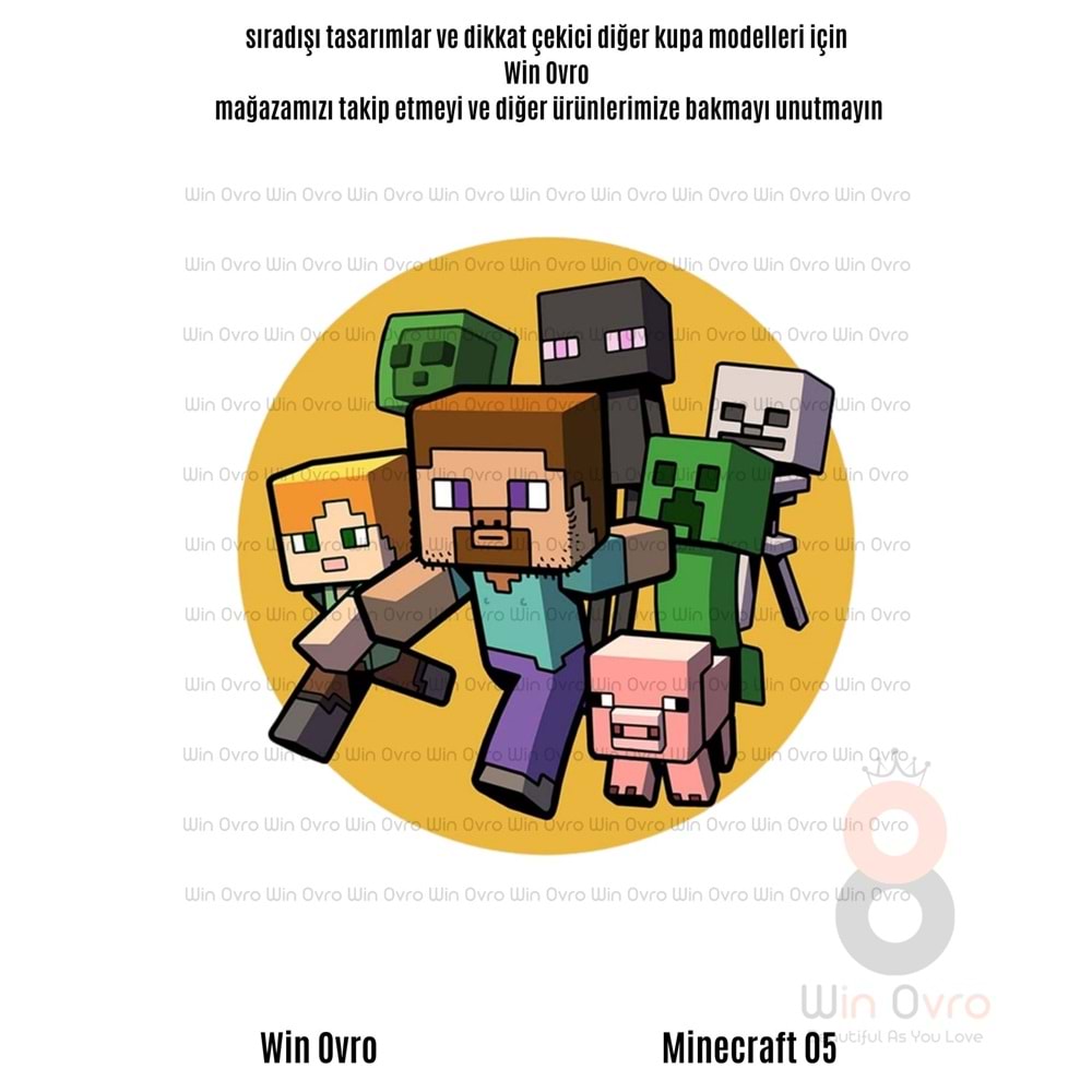 Win Ovro Premium Beyaz Porselen Hediye Çift Yön Baskılı Kupa Bardak - Minecraft 05