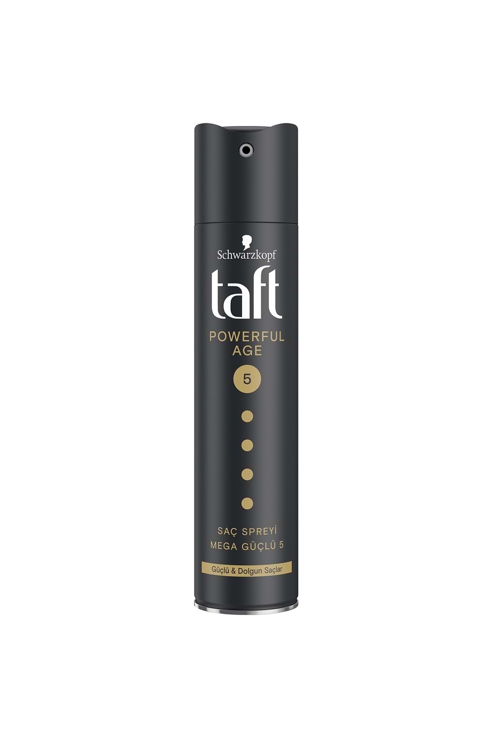 Taft Powerful Age Saç Sprey 250 ml