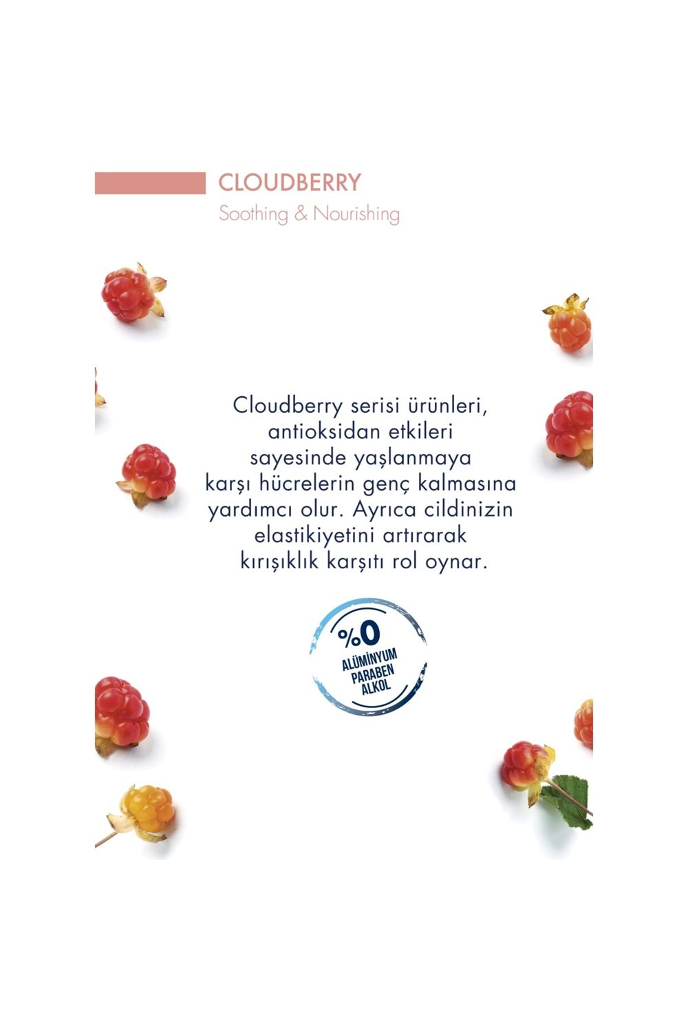 Celenes Cloudberry Temızleme Jelı 250 ml Kuru - Hassas