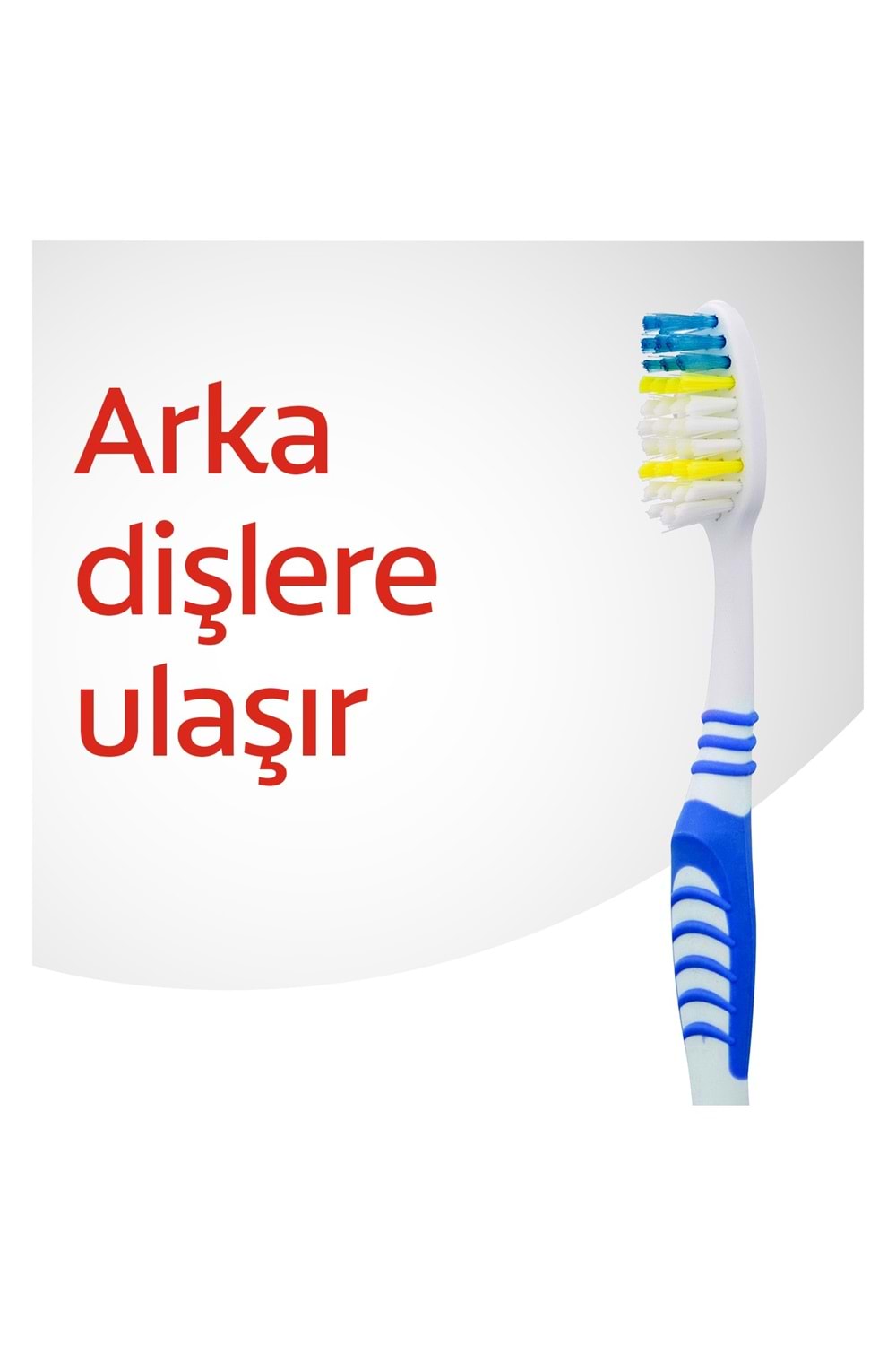 Colgate Extra Clean Dil Temizleyicili Arka Dişlere Uzanan Orta Diş Fırçası 1+1