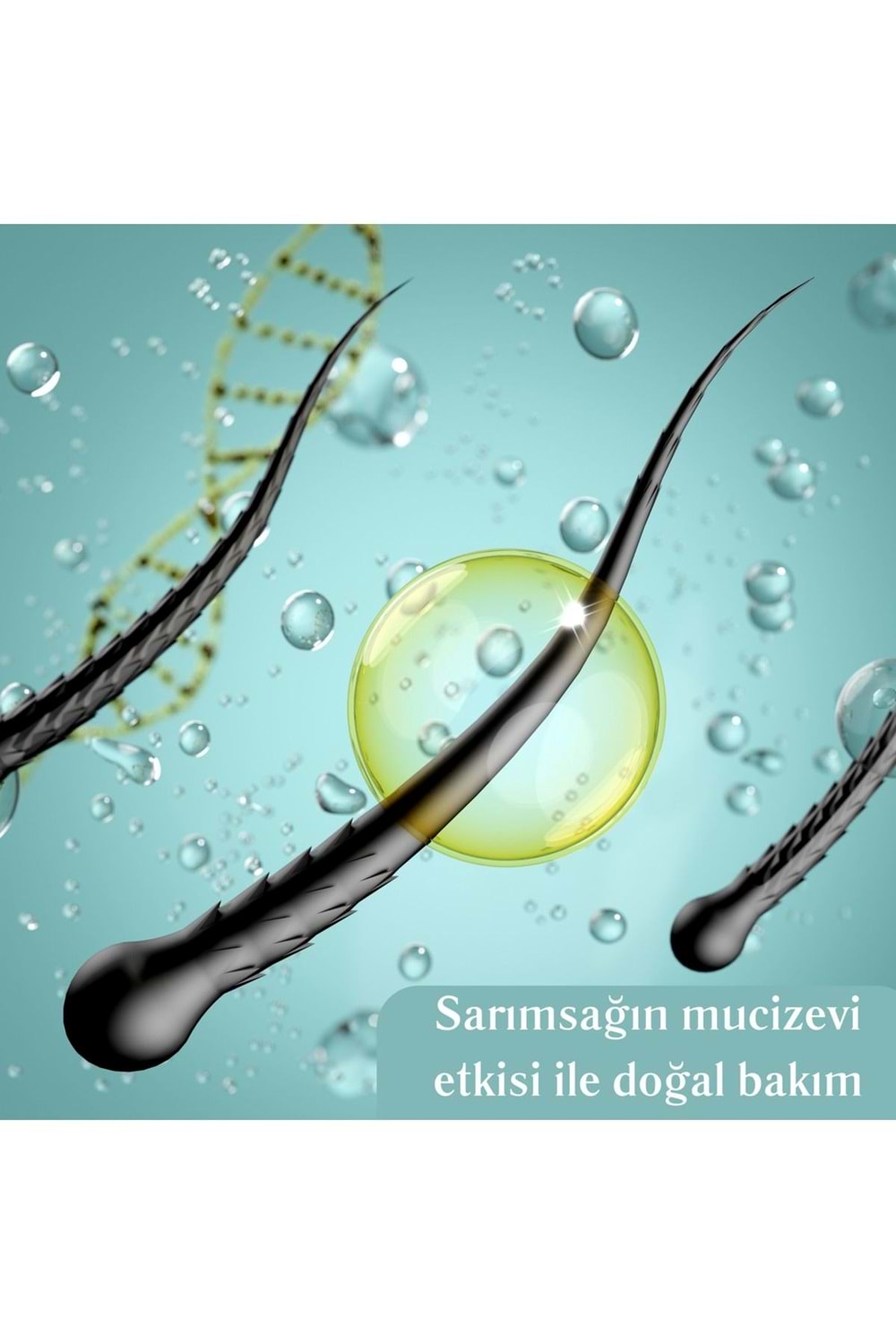 Derma CC Laboratories Sarımsak Özlü Saç Güçlendirici Bakım Şampuanı 500 Ml