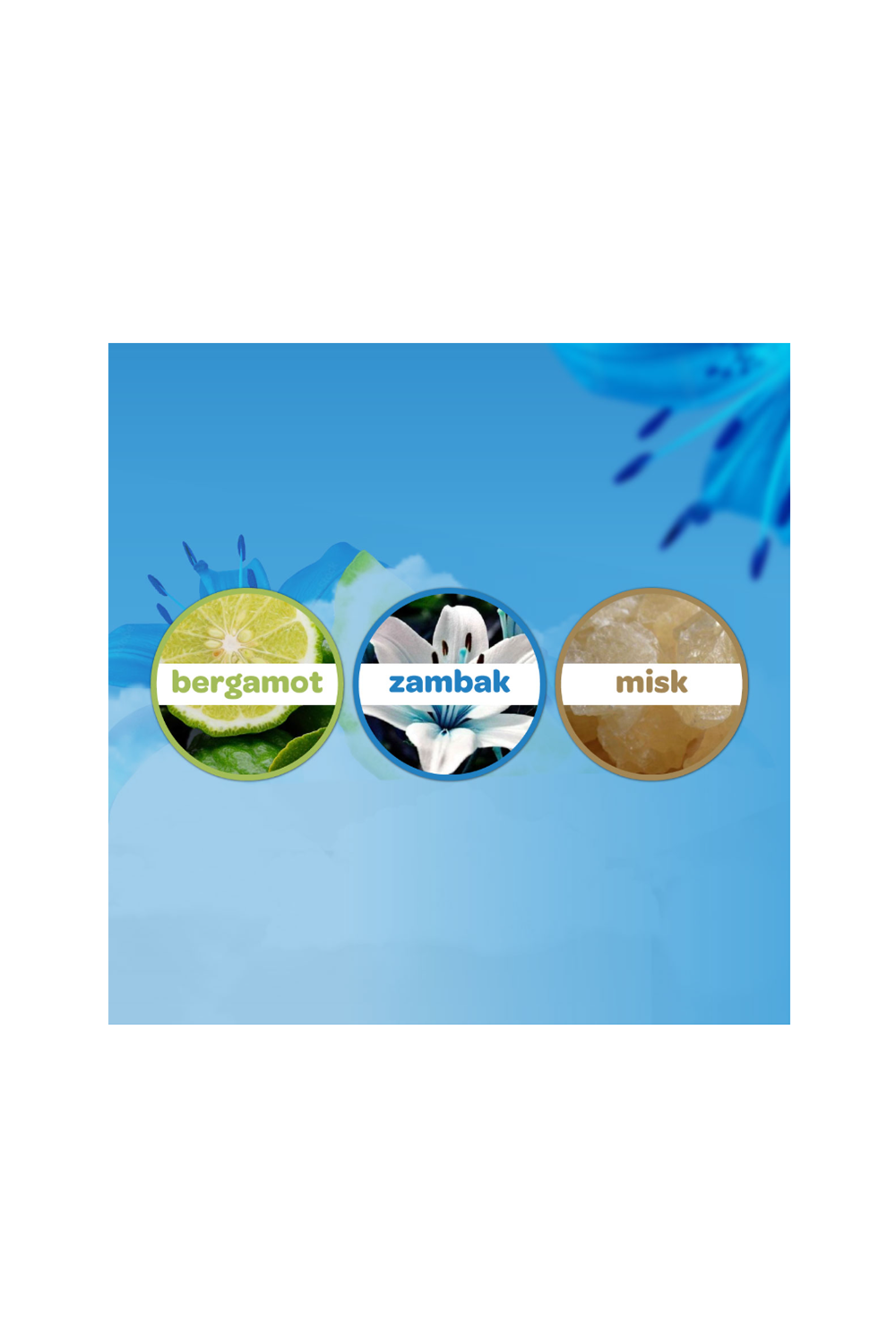 Dalin Bebek Kolonyası Deniz Esintisi 150 ml