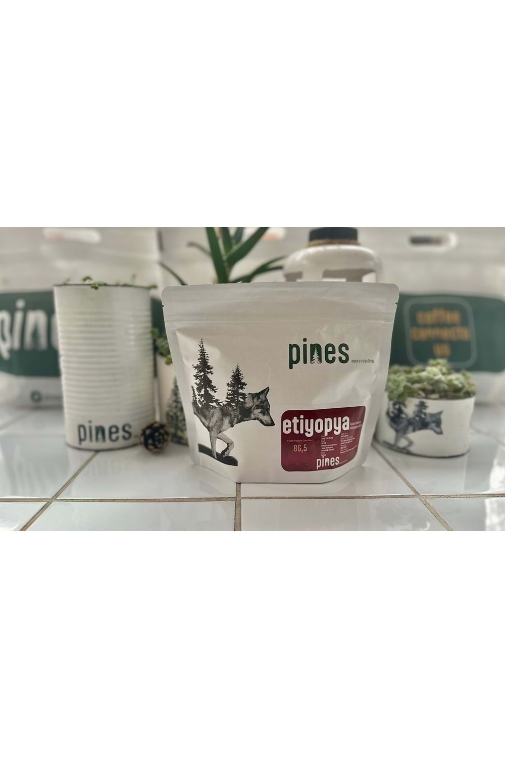 Pines Micro Roastery - Etiyopya Shantawene Filtre Çekirdek Kahve