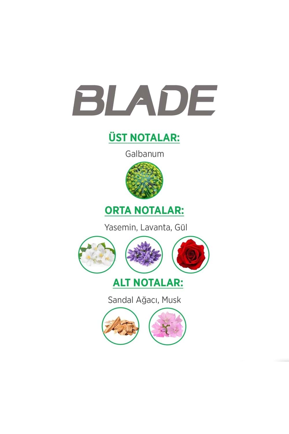 Blade Green Dream Edt Erkek Parfüm 70 ml