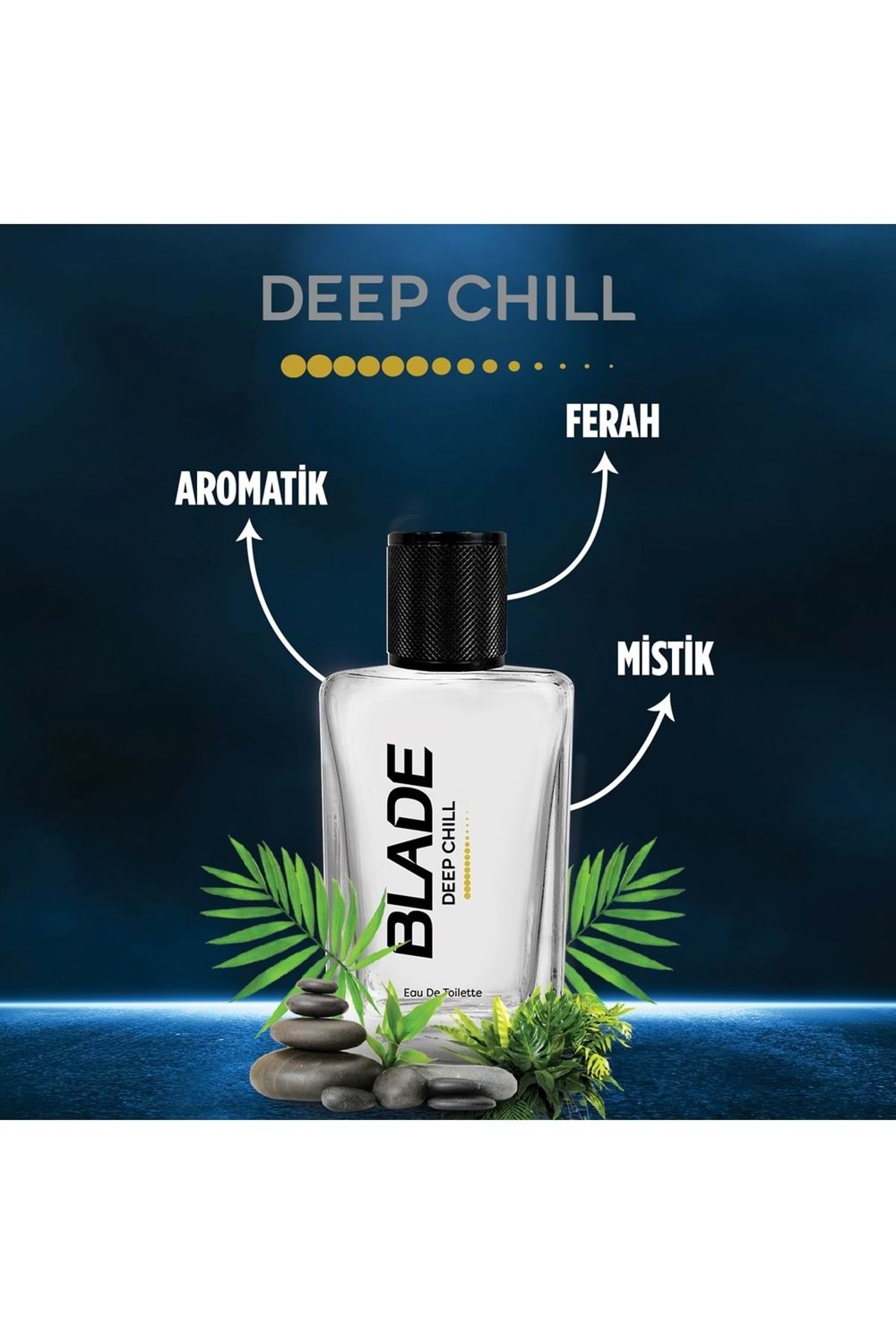 Blade Deep Chill Edt Erkek Parfüm 70 ml