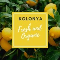 Kolonya