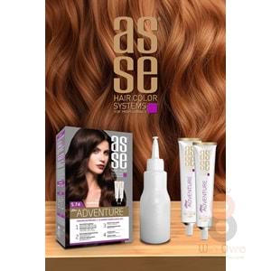 Asse 5.74 Tarçın 50+50ml Set Boya