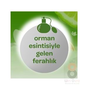 Dalin Bebek Kolanyasi Orman Esintisi 150 Ml