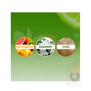 Dalin Bebek Kolanyasi Orman Esintisi 150 Ml