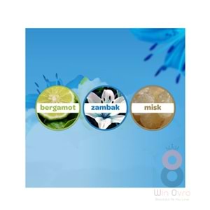 Dalin Bebek Kolonyası Deniz Esintisi 150 ml