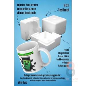 Win Ovro Premium Beyaz Porselen Hediye Çift Yön Baskılı Kupa Bardak - Minecraft 02