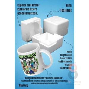 Win Ovro Premium Beyaz Porselen Hediye Çift Yön Baskılı Kupa Bardak - Minecraft 03