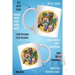 Win Ovro Premium Beyaz Porselen Hediye Çift Yön Baskılı Kupa Bardak - Minecraft 05