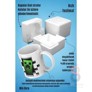 Win Ovro Premium Beyaz Porselen Hediye Çift Yön Baskılı Kupa Bardak - Minecraft 06