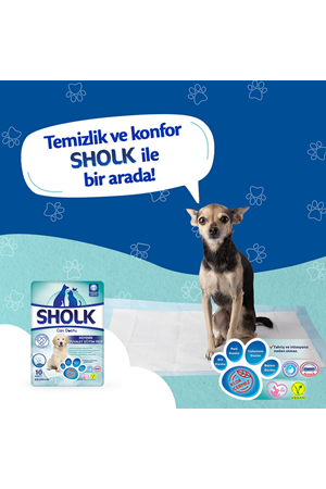 Sholk Hipoalerjenik Köpek Çiş Eğitim Pedi 60x90cm 10lu