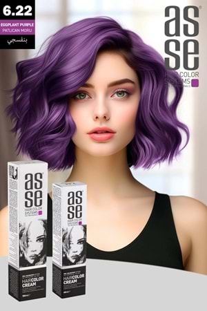 Asse 6.22 Patlıcan Moru - 60ml Tüp Boya