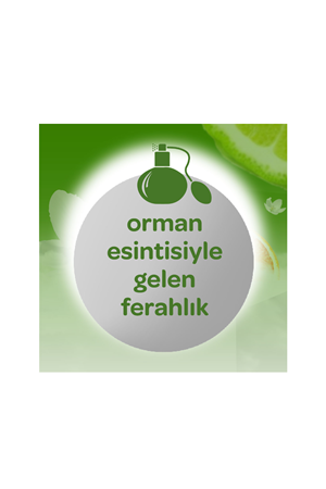 Dalin Bebek Kolanyasi Orman Esintisi 150 Ml