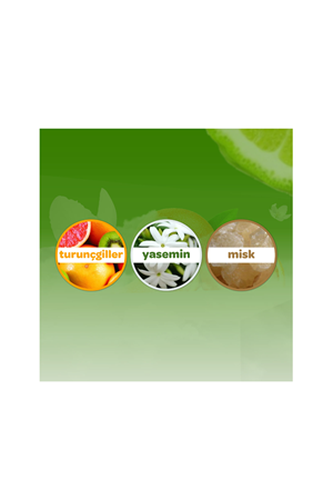 Dalin Bebek Kolanyasi Orman Esintisi 150 Ml