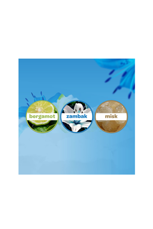 Dalin Bebek Kolonyası Deniz Esintisi 150 ml