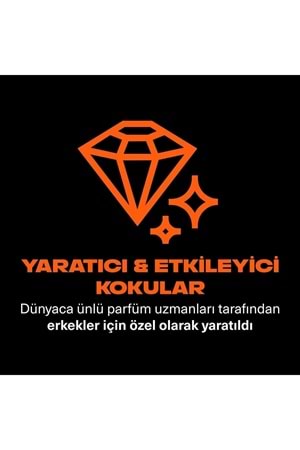 Axe Premium Collection Duş Jeli Copper Santal 3 in 1 Vücut Saç Yüz 300 ml