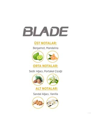 Blade Deep Chill Edt Erkek Parfüm 70 ml