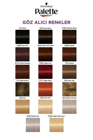 Palette Göz Alıcı Renkler Saç Boyası No : 1.0 Siyah