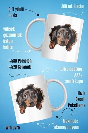 Win Ovro Premium Beyaz Porselen Hediye Kupa Bardak Çift Yön Baskı - Meraklı Pati