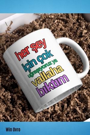 Win Ovro Premium Beyaz Porselen Hediye Çift Yön Baskılı Kupa Bardak - Vallaha Bıktım