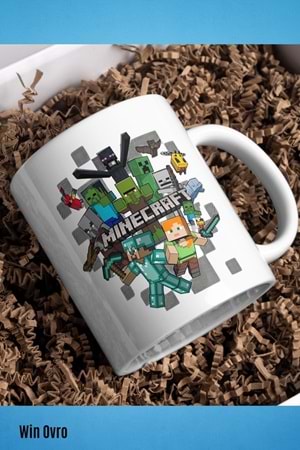Win Ovro Premium Beyaz Porselen Hediye Çift Yön Baskılı Kupa Bardak - Minecraft 04