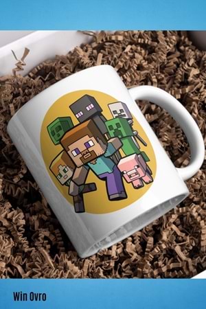 Win Ovro Premium Beyaz Porselen Hediye Çift Yön Baskılı Kupa Bardak - Minecraft 05
