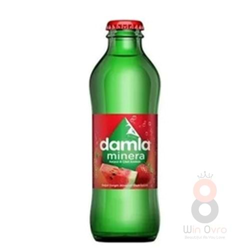 Damla Minera Çilek Karpuz Aromalı Gazlı İçecek 200 ml