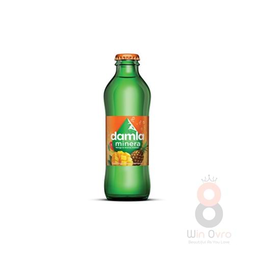 Damla Minera Mango Ananas Aromalı Gazlı İçecek 200 ml