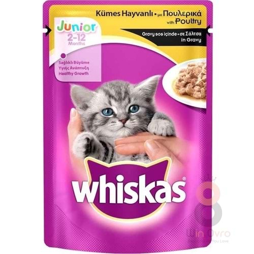 Whiskas Pouch Junior Tavuklu Yavru Kedi Konservesi 100 gr