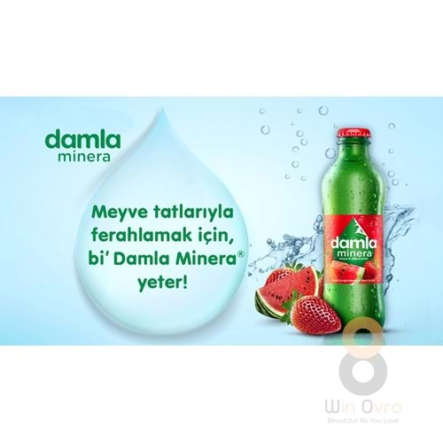 Damla Minera Çilek ve Karpuz Aromalı Doğal Zengin Mineralli Gazlı İçecek Şişe 200 ml.