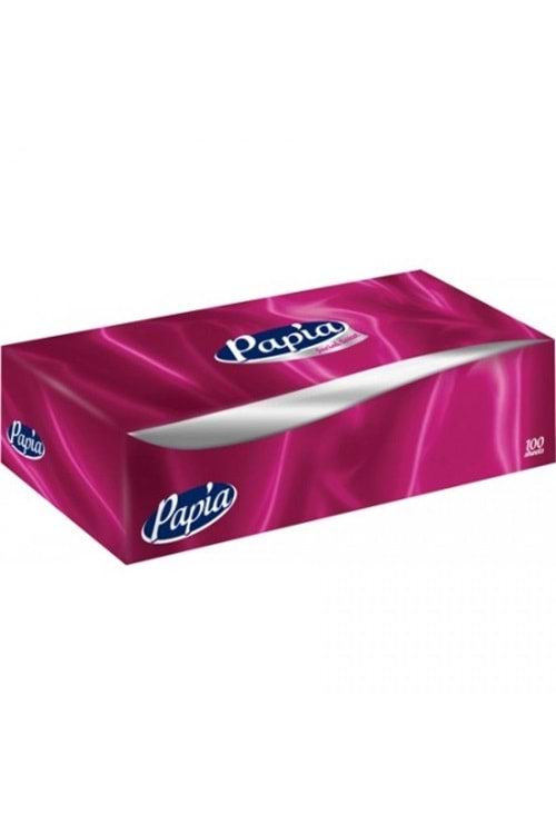 Papia Kutu Mendil 2 Katlı 100 lü