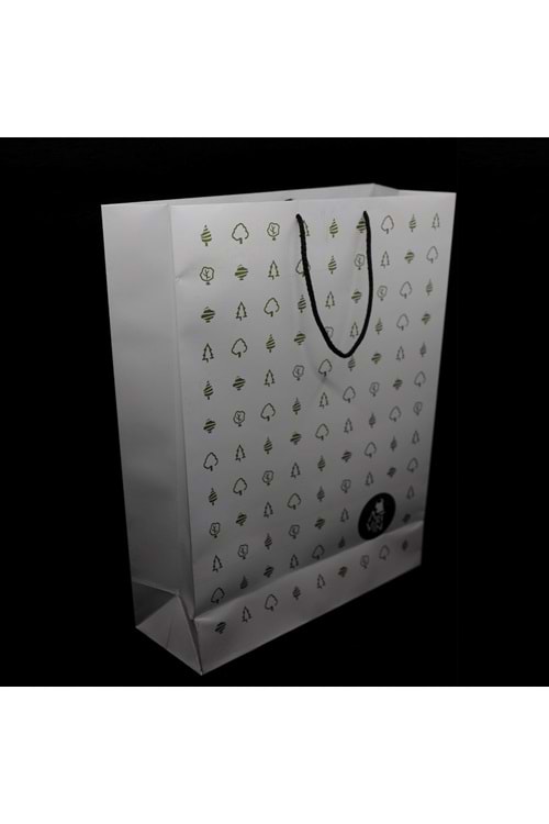 Baskılı Orta Boy Kuşe Karton Çanta Selefonlu 35X45 Cm