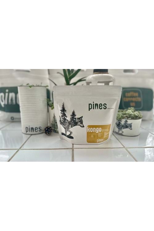 Pines Micro Roastery - Kongo Buchiro Filtre Çekirdek Kahve