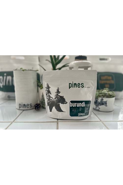 Pines Micro Roastery - Burundi Gashinkanwa Filtre Çekirdek Kahve
