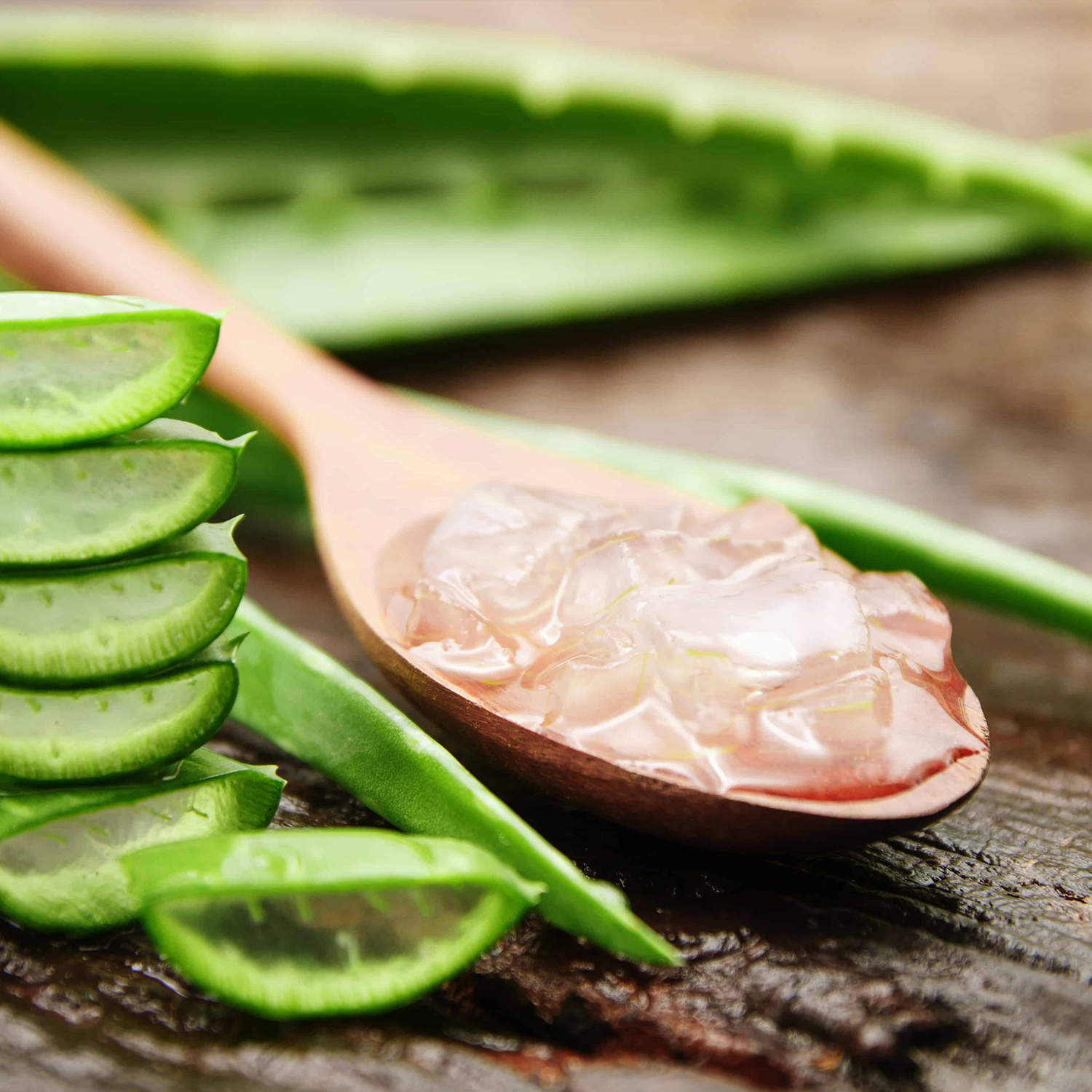 Aloe Vera Bitkisi Nedir ve Cilde Faydaları Nedir?