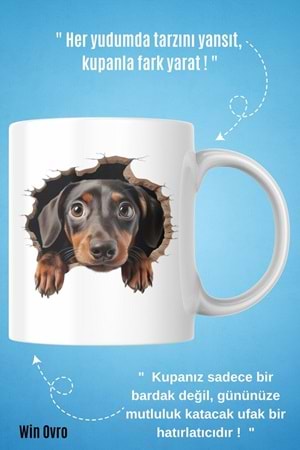 Win Ovro Premium Beyaz Porselen Hediye Kupa Bardak Çift Yön Baskı - Meraklı Pati