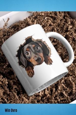 Win Ovro Premium Beyaz Porselen Hediye Kupa Bardak Çift Yön Baskı - Meraklı Pati