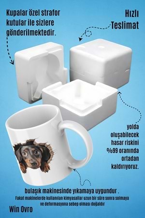 Win Ovro Premium Beyaz Porselen Hediye Kupa Bardak Çift Yön Baskı - Meraklı Pati