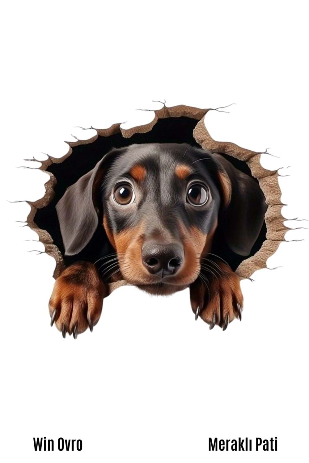 Win Ovro Premium Beyaz Porselen Hediye Kupa Bardak Çift Yön Baskı - Meraklı Pati